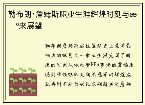 勒布朗·詹姆斯职业生涯辉煌时刻与未来展望